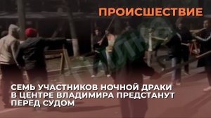 Семь участников ночной драки в центре Владимира предстанут перед судом