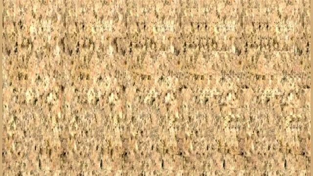 20 очень сложных стереокартинок для отдыха глаз. 20 Very Complex and Beautiful Stereograms to Relax