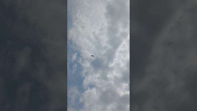 Минутка из жизни Сырного Дедушки.