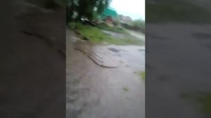 Ул. Красный Пахарь после дождя, Омск