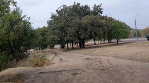 Пешая прогулка !! Магазин чая и кофе !! О - о!  Арбузы  по 6.