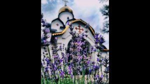 _Помилуй Нас, Господи, Помилуй Нас..._ Валаамский распев🕊