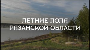 Влог: вдоль полей к Оке в Рязанской области