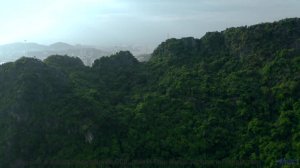 Этот трек - как прогулка по волшебному лесу! - First Floor -- En attendant Ana -- Songs from the cav