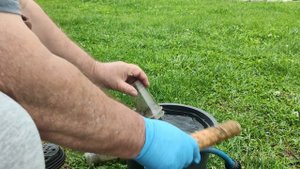 Лайфхак. Эффективное использование стаканчиков для рассады.