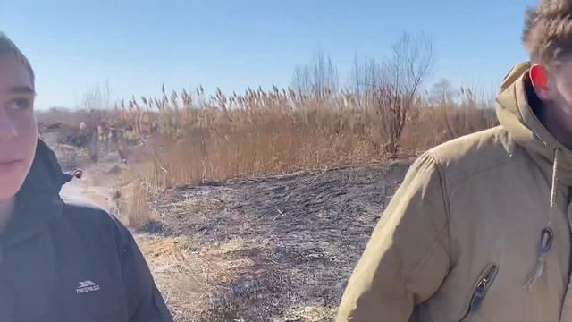 КОРОТКОМЕТРАЖНАЯ КОМЕДИЯ - ЛЕШИЙ смотреть онлайн