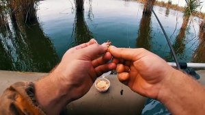 РЫБАЛКА НА САЗАНА С МАХОВОЙ УДОЧКОЙ | РЫБАЛКА НА ПОПЛАВОК