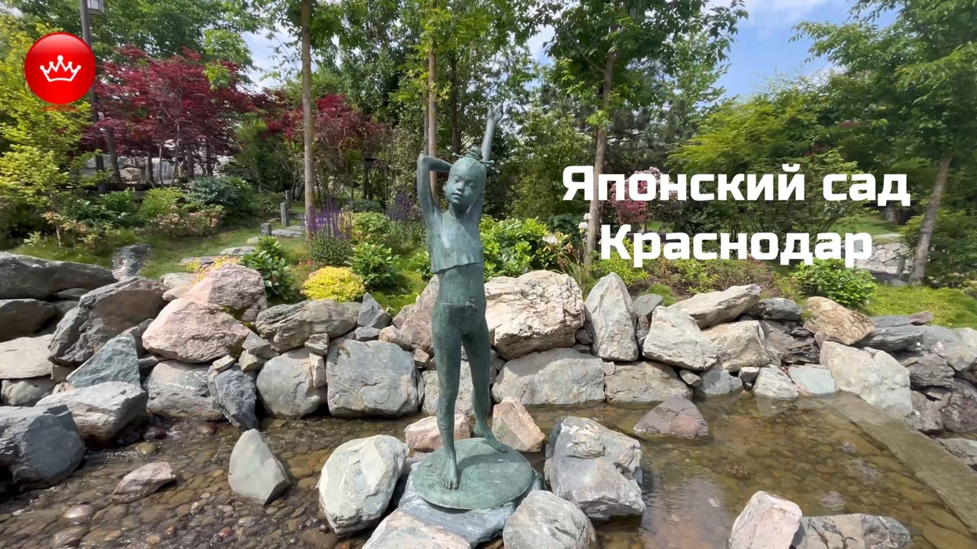 🏡Японский сад парк Галицкого утреннее пробуждения 2025.