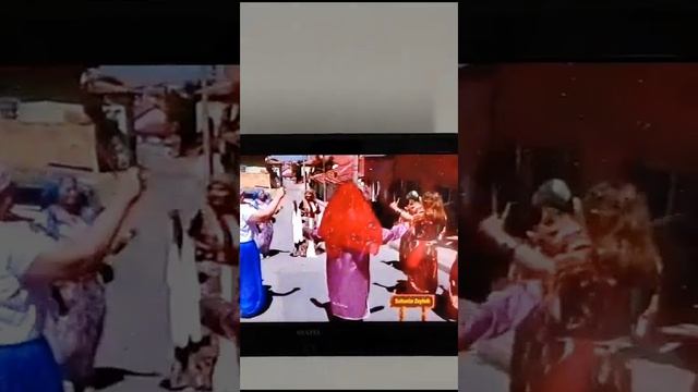 Турецкий калорит танца. смотреть онлайн