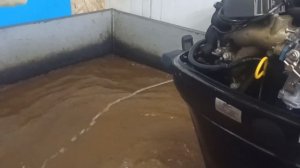 запуск мотора Tohatsu 9.9, Seamotors, Владивосток