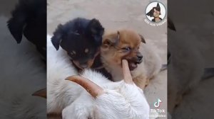 1000098764.mp4