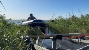 Красота природы в Ростовской области #рекаманыч #река?