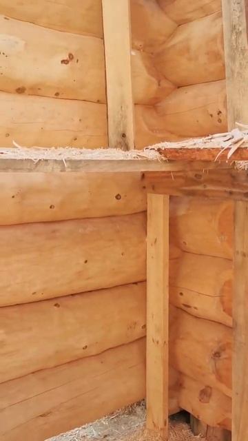 Пример ХОРОШЕГО качества рубки и сборки бани из кедра!