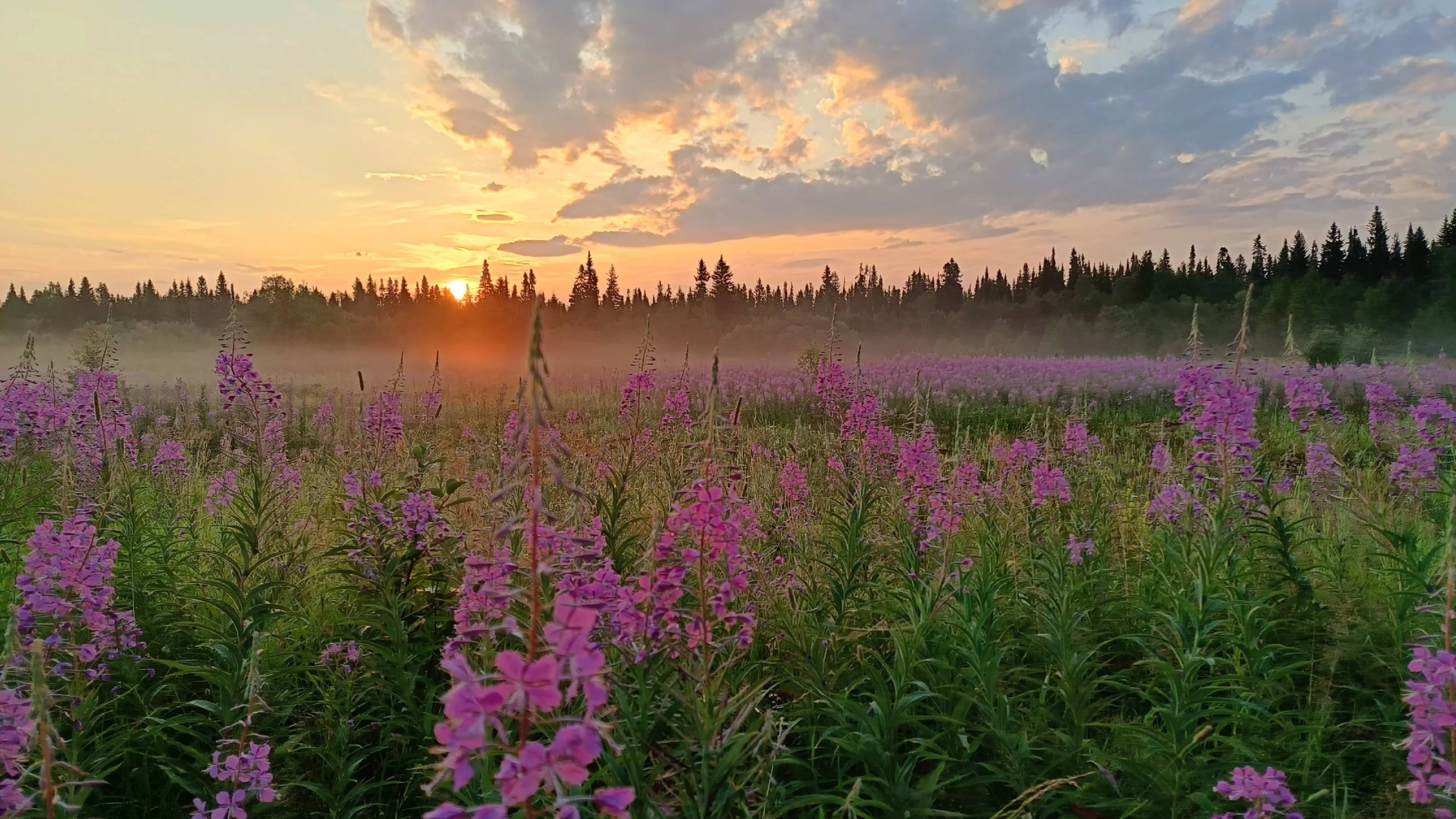 Печорский шансон