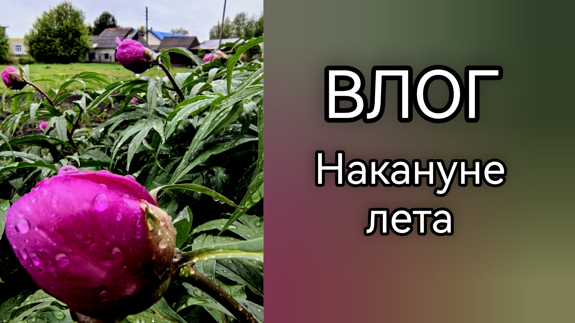 ВЛОГ. О погоде, о природе. Компьютерное многоборье