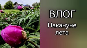 ВЛОГ. О погоде, о природе. Компьютерное многоборье