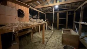 Алиса - лиса. Бабья зима. Игниса не остановить во время