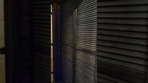 Камышовые маты в интерьере