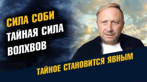 Тайная Сила Соби