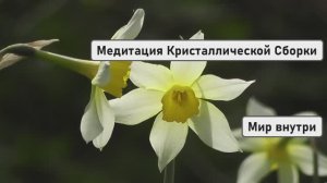 ТВОЁ ЗВЁЗДНОЕ ТЕЛО | Медитация Кристаллической Сборки