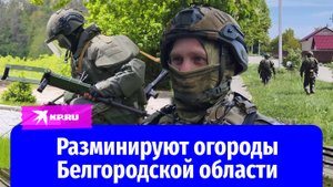 В Белгородской области разминируют огороды, дома и дороги