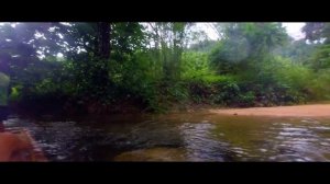 НА ПЛОТУ К СЛОНАМ. СЕКРЕТНАЯ ЭКСКУРСИЯ. ТАЙЛАНД 2023.