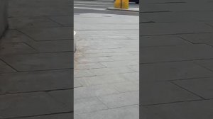 Москва, Сокольническая площадь, состояние района, бомжи на лавочках.