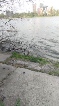 На набережной Донецка