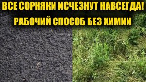 🌿 Сорняки БЕЗ химии — и навсегда! 😱 Жаль, что не попробовала это раньше