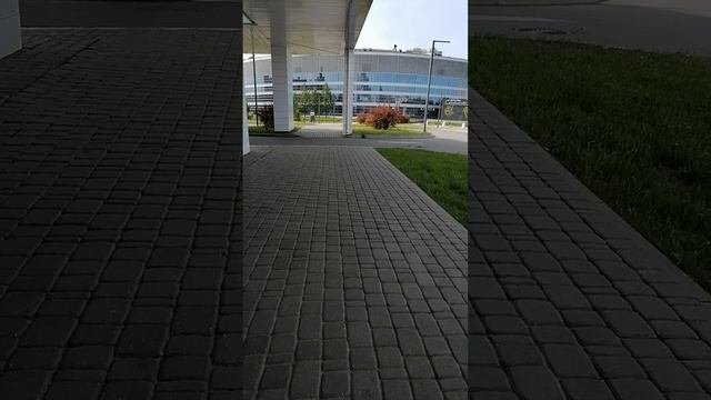 Гуляю по стадиону СКА под песню Династия
Детства Больше Нет