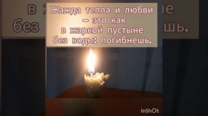Цитаты дня , слова и жизни и песни