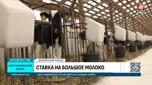 Первый современный животноводческий комплекс в Дриби