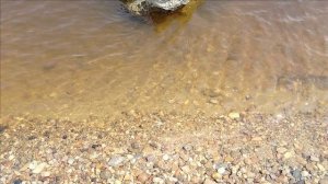 Благовещенск. Река Зея