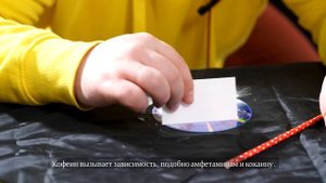 Как кофе влияет на организм?