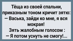 Как Теща По Ночам к Себе Зятя Звала! Сборник Свежих Анекдотов! Юмор!