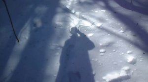 ЭКСКЛЮЗИВНОЕ ВИДЕО НА ЮТУБЕ ОБЗОР НА МОЮ ТЕНЬ