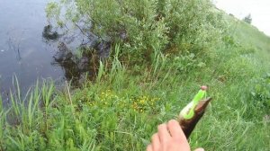 Щука атакует резину,блесну,воблер,Поппер. Пробуем разные приманки