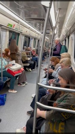 Гармонист в метро - всё, лучше, чем на диване лежать на пенсии..