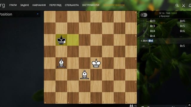 Як покласти мат двома слонами? смотреть онлайн