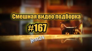 Смешная видео подборка #167