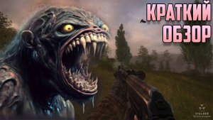 Краткий обзор Тру Сталкер! Стоит ли в это играть - True Stalker обзор игры