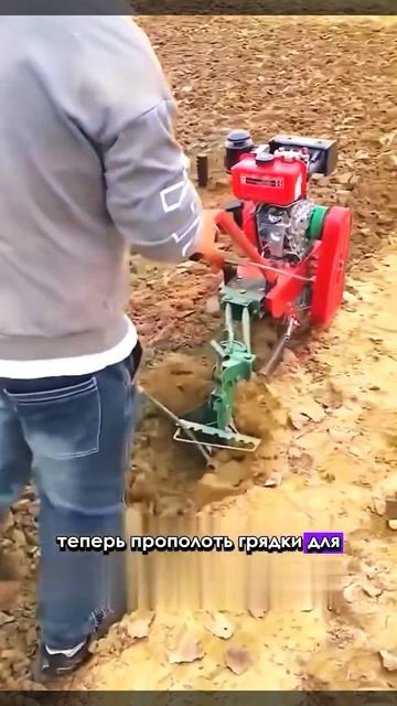 Соседка была в шоке! Когда узнала, что я купила ЭТО на WI смотреть онлайн