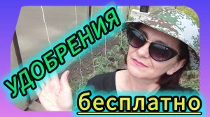 Удобрения из травы для подкормки растений.