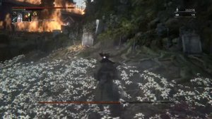 Bloodborne Исполнение желаний