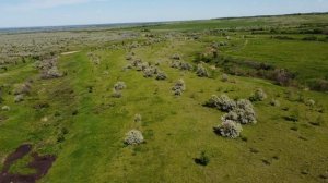 Инвестиционный земельный участок под сх производство Саратов (Большой Участок)