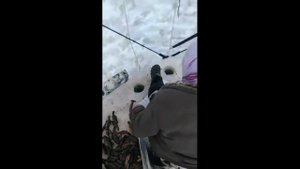 Рыбаки  смешные приколы и нелепые случаи на рыбалке