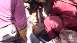 30 лет назад произошло землетрясение в Нефтегорске. Вспоминают спасатели