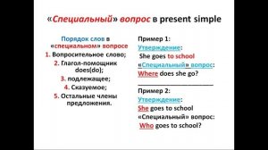 виды вопросов в present simple