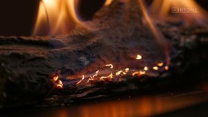 Биокамины Airtone Log