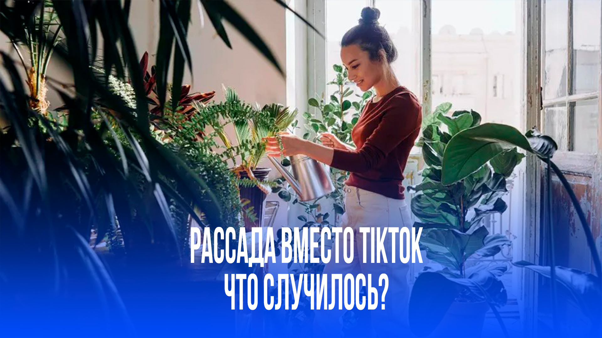 От непонимания к увлечению: Как я открыла для себя мир садоводства